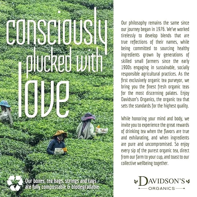 Davidson's Tea Bulk, Herbal Classic Chai, 16-Ounce Bag - Product Image