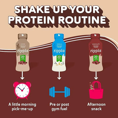 Ripple Vegan Protein Shake 20g Nutritious 12 Oz, 12 Pack