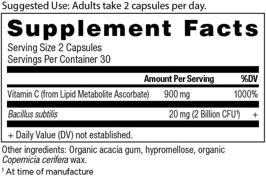 Ancient Nutrition Probiotics and Vitamin C Supplement, Supports Healthy Immune System and Gut Health, Made Without GMOs, S...