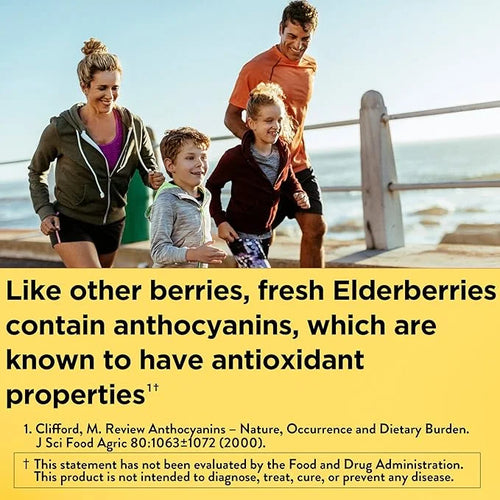 Nature Made Elderberry 400 mg Extract 60 Capsules, 60 Day