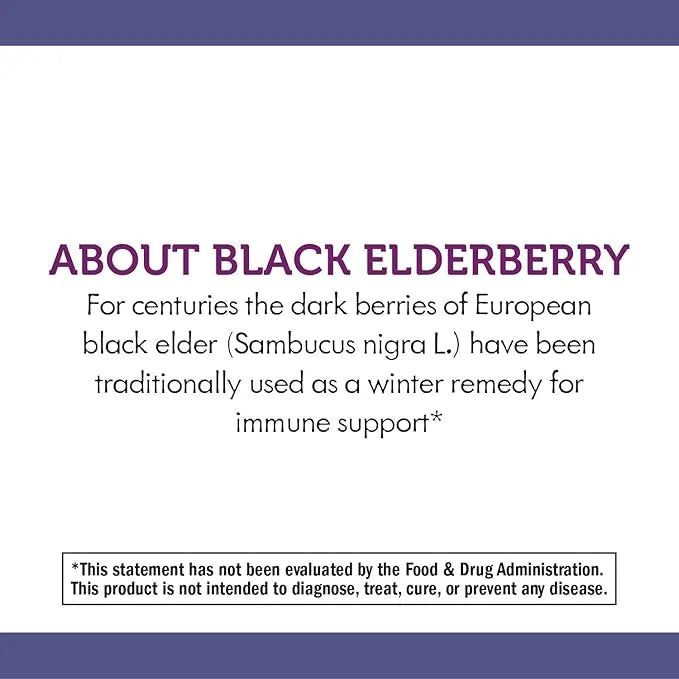 Nature's Way Sambucus Elderberry Hot Drink 10 Packets