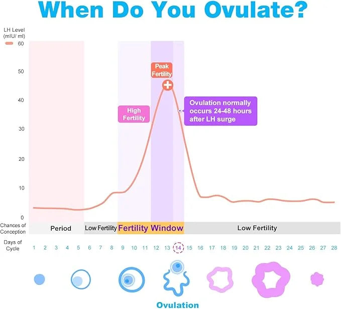 Ovulation & Pregnancy Test Strips Kit: 100 Ovulation 20 Pregnancy 100LH + 20HCG
