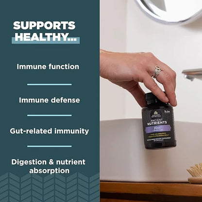 Probiotics and Zinc Supplement by Ancient Nutrition, Supports Healthy Immune System and Gut Health, Made Without GMOs, Sup...