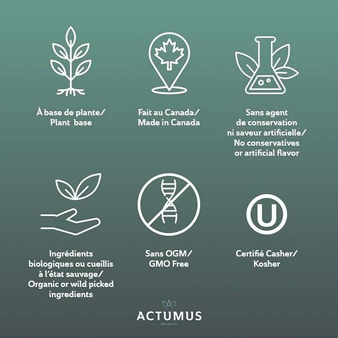 Regeneration - Antioxidant and Beta-Carotene Source 240 Vegicaps