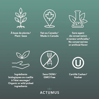 Regeneration - Antioxidant and Beta-Carotene Source 240 Vegicaps