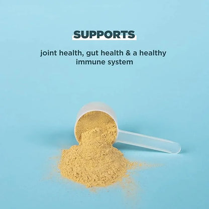 Ancient Nutrition Bone Broth Protein Powder, 20g Protein 40 Servings