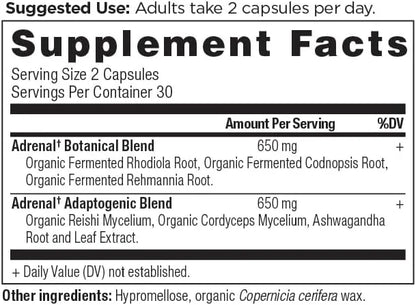 Adrenal Support with Ashwagandha Supplement by Ancient Nutrition, Helps Reduce Stress & Fatigue, Paleo and Keto Friendly, ...