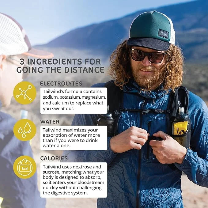 Tailwind Nutrition Endurance Fuel, Sports Drink Powder Single Serving with Electrolytes, Non-GMO, Free of Soy, Dairy, and ...