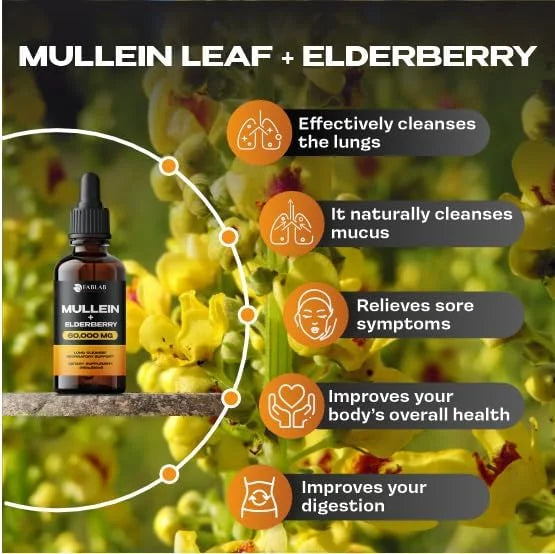 Mullein Leaf Extract with Elderberry 2