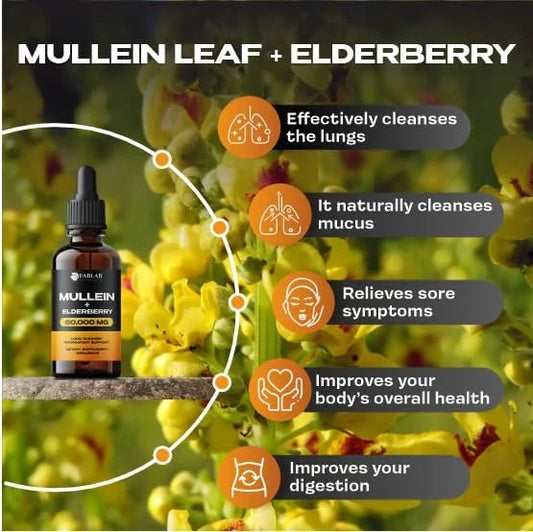 Mullein Leaf Extract with Elderberry 2