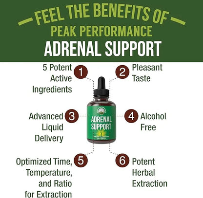 Adrenal Support Supplements To Restore Energy
